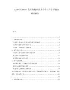 2025-2030Fast芯片組行業(yè)技術(shù)合作與產(chǎn)學(xué)研融合研究報(bào)告