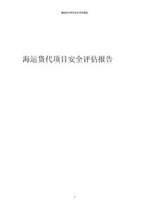 2023年海運貨代項目安全評估報告