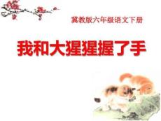 《我和大猩猩握了手》