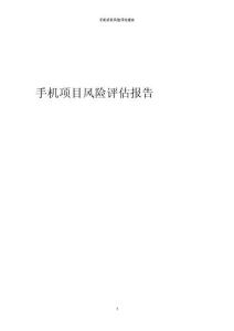 手機項目風險評估報告