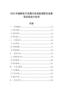 2025年編程電子樂器行業(yè)深度調(diào)研及發(fā)展項(xiàng)目商業(yè)計(jì)劃書