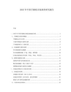 2025年中國手擦機(jī)市場(chǎng)調(diào)查研究報(bào)告
