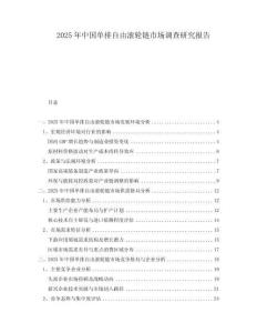 2025年中國單排自由滾輪鏈市場調查研究報告