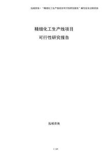 精細化工生產線項目可行性研究報告