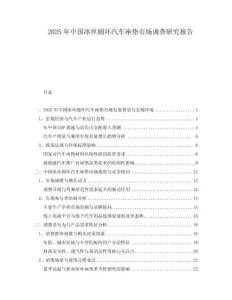 2025年中國冰絲圓環(huán)汽車座墊市場調(diào)查研究報告