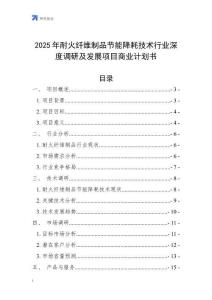 2025年耐火纖維制品節能降耗技術行業深度調研及發展項目商業計劃書