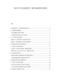 2025年中國無縫異徑三通市場調查研究報告
