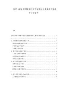 2025-2030中國數字經濟發展現狀及未來增長驅動力分析報告