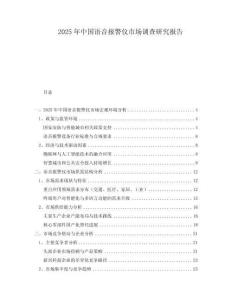 2025年中國語音報警儀市場調查研究報告