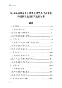 2025年磁浮式個人懸浮交通工具行業深度調研及發展項目商業計劃書