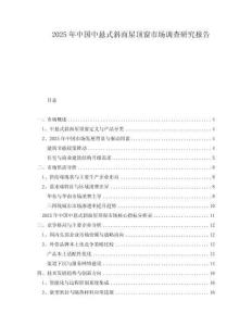 2025年中國中懸式斜面屋頂窗市場調(diào)查研究報(bào)告
