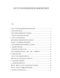 2025年中國石材黃斑清除劑市場調查研究報告