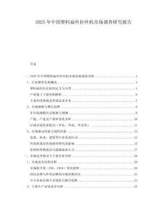 2025年中國塑料扁絲拉絲機市場調查研究報告