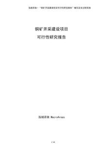 銅礦開采建設項目可行性研究報告（僅供參考）