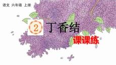 24人教統編版-小學六年級上冊第一單元2 丁香結 課課練