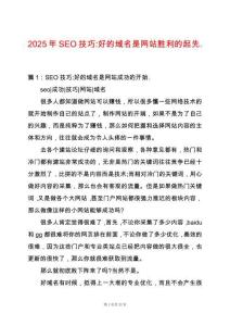 2025年SEO技巧-好的域名是網(wǎng)站勝利的起先.