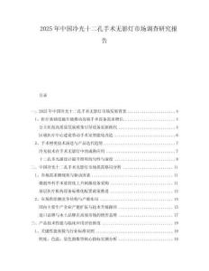 2025年中國冷光十二孔手術無影燈市場調查研究報告