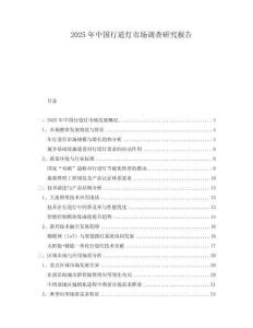 2025年中國(guó)行道燈市場(chǎng)調(diào)查研究報(bào)告