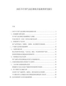 2025年中國(guó)氣動(dòng)打磨機(jī)市場(chǎng)調(diào)查研究報(bào)告