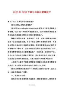 2025年SEM方案讓你輕松管理賬戶