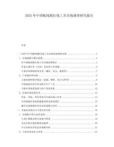 2025年中國(guó)配線箱打線工具市場(chǎng)調(diào)查研究報(bào)告