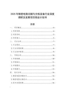 2025年精密電阻切割與分揀設備行業深度調研及發展項目商業計劃書