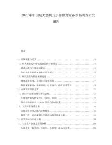 2025年中國明火燃燒式小件烘烤設備市場調查研究報告