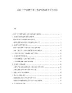 2025年中國燃?xì)庑烷_水爐市場調(diào)查研究報(bào)告