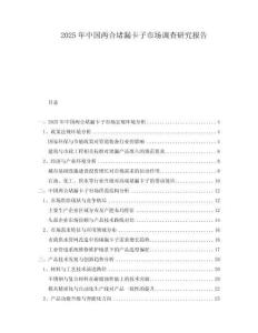 2025年中國(guó)兩合堵漏卡子市場(chǎng)調(diào)查研究報(bào)告