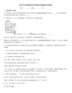 2025年山東省初中化學期末內部題庫【奪冠】