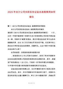 2025年會計(jì)公司失職反告證監(jiān)會造假黑洞如何堵住