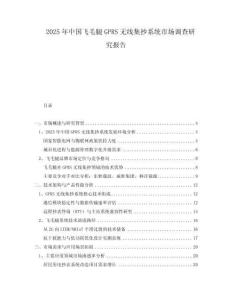 2025年中國飛毛腿GPRS無線集抄系統市場調查研究報告