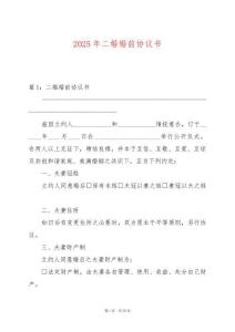 2025年二婚婚前協(xié)議書(shū)