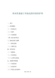 職業(yè)性暴露于其他危險(xiǎn)因素的護(hù)理