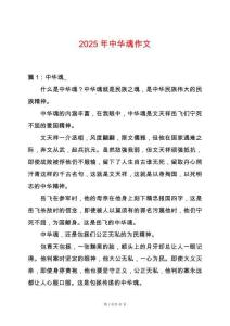 2025年中華魂作文
