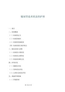 輸尿管造術狀態的護理