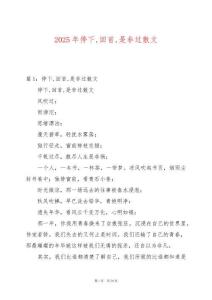 2025年停下回首是非過散文