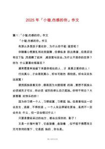 2025年「小璇傷感的你」作文
