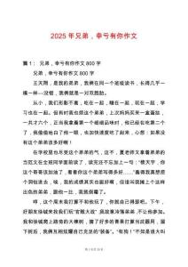 2025年兄弟，幸虧有你作文