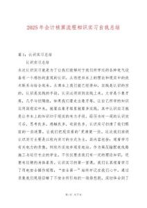 2025年會(huì)計(jì)核算流程相識(shí)實(shí)習(xí)自我總結(jié)