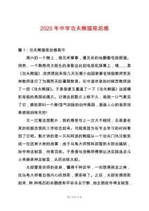 2025年中學功夫熊貓觀后感