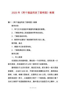 2025年《兩個強盜闖進了圓明園》教案