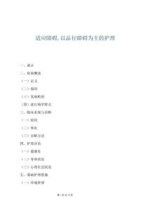 适应障碍,以品行障碍为主的护理