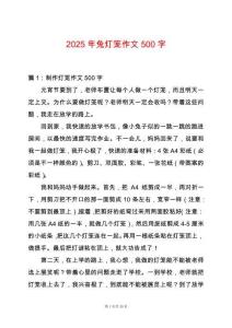 2025年兔燈籠作文500字