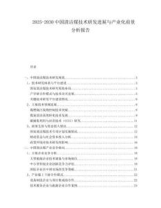 2025-2030中國清潔煤技術(shù)研發(fā)進(jìn)展與產(chǎn)業(yè)化前景分析報(bào)告