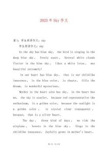 2025年Sky作文
