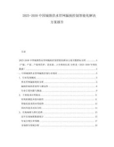 2025-2030中國城鎮供水管網漏損控制智能化解決方案報告