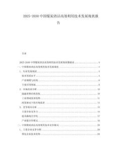 2025-2030中國煤炭清潔高效利用技術發展現狀報告