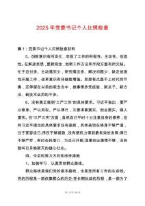 2025年黨委書記個(gè)人比照檢查