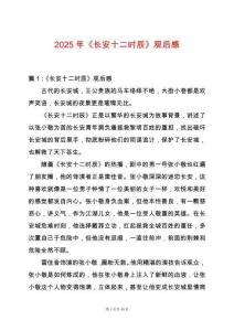 2025年《長(zhǎng)安十二時(shí)辰》觀后感